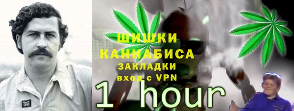 спиды Богородск