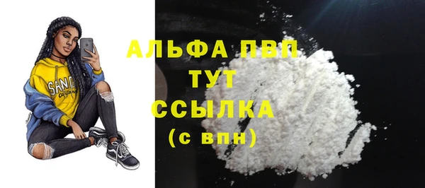 спиды Богородск