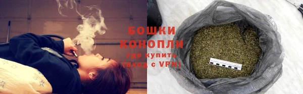 ALPHA-PVP Богородицк