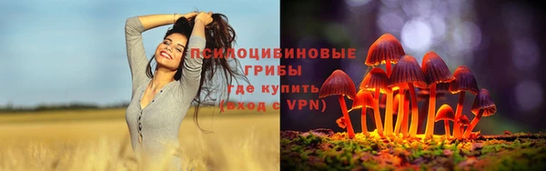 ALPHA-PVP Богородицк