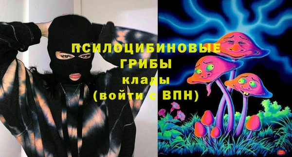 спиды Богородск