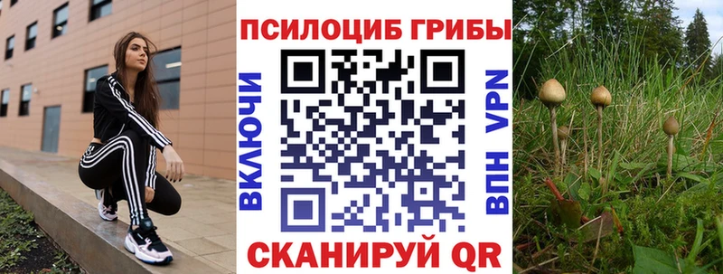 Галлюциногенные грибы Cubensis Краснознаменск
